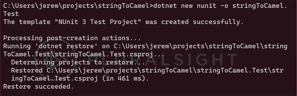 “Unit Testing dotnet CLI”