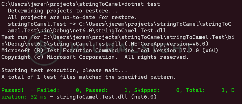 “Unit Testing dotnet CLI”