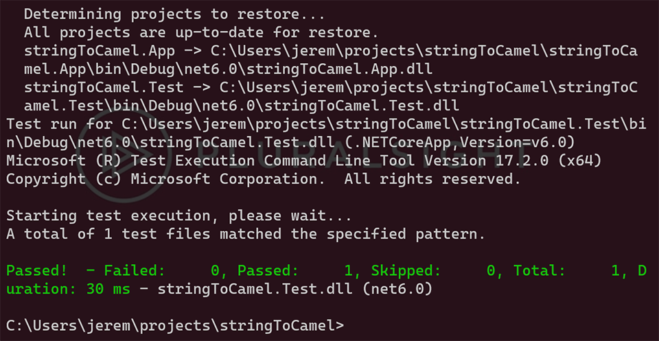 “Unit Testing dotnet CLI”