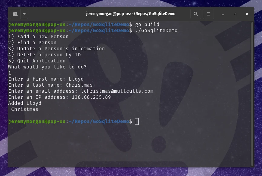 How to use SQLite with Go